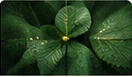 Sustainability editorial image
